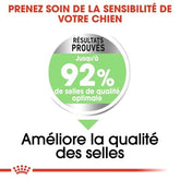 Royal Canin Aliment Sec Chien Mini Digestive Care 3 Kg